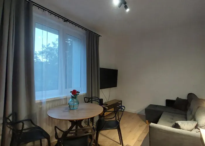 Apartament Aleja 29 Listopada